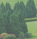 有没有直充的无限轰炸手机软件手机号下载