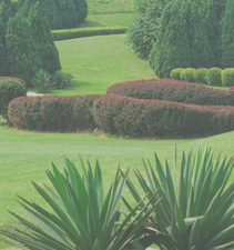 自动化运维的电话轰炸测试